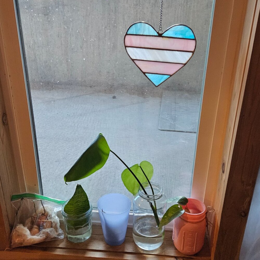 Trans and Nonbinary 💜